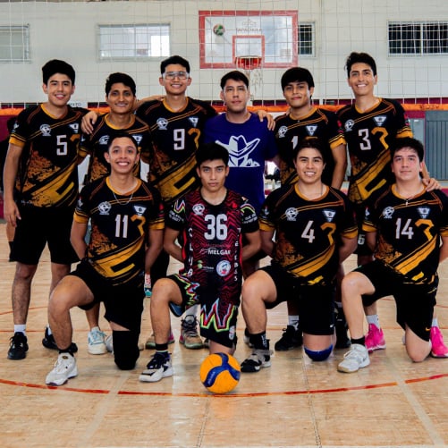 PVT Inmobiliaria Deportes