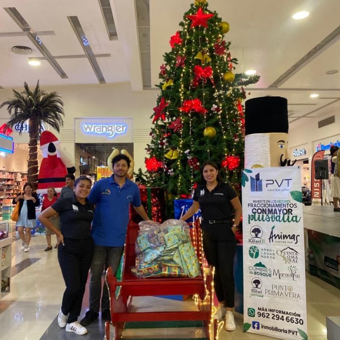 PVT Inmobiliaria Día de Reyes
