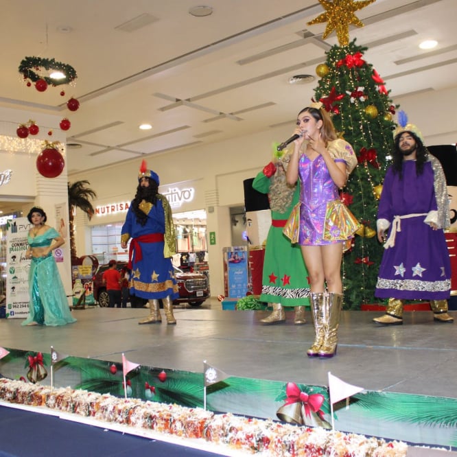 PVT Inmobiliaria Día de Reyes