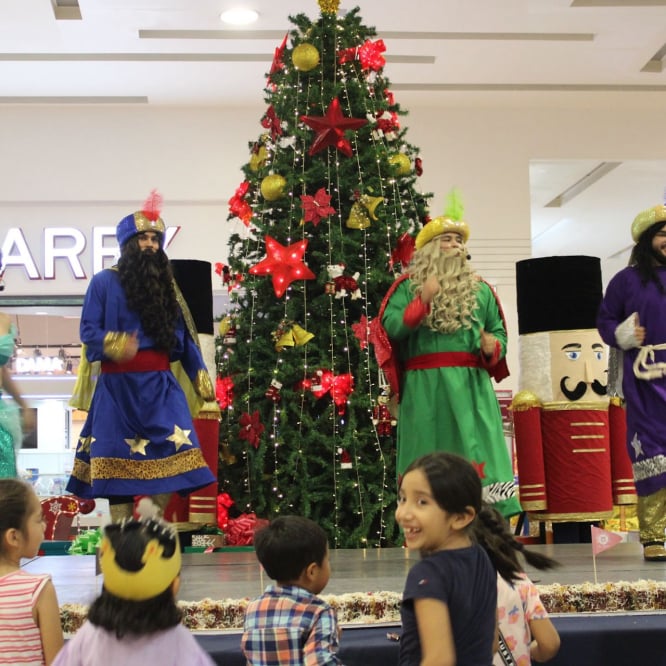 PVT Inmobiliaria Día de Reyes